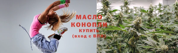 крисы Коряжма