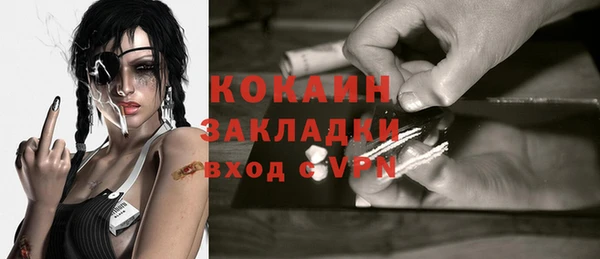 трава Карпинск