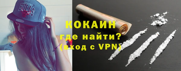 трава Карпинск