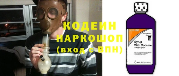 трава Карпинск