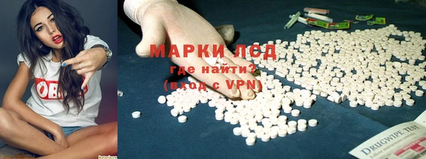 трава Карпинск