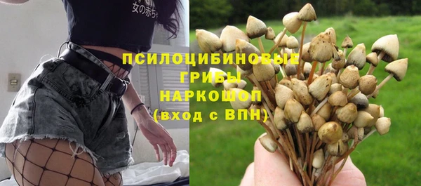 трава Карпинск