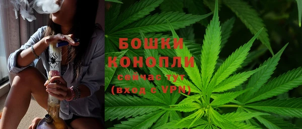 трава Карпинск