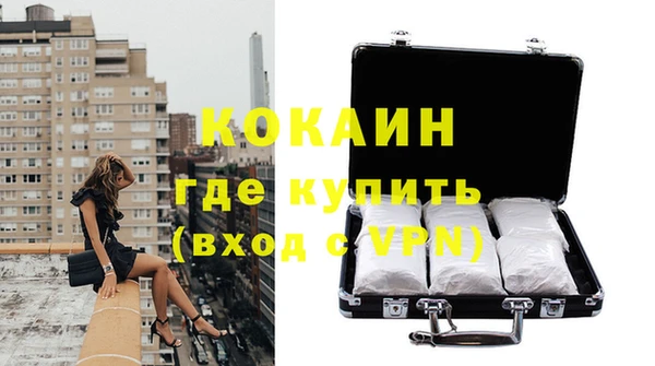 трава Карпинск