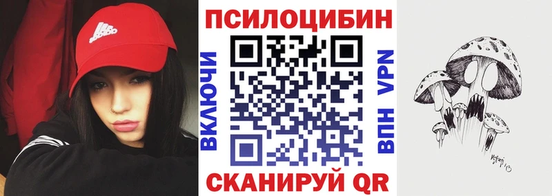 Купить  Новопавловск  Галлюциногенные грибы прущие грибы 